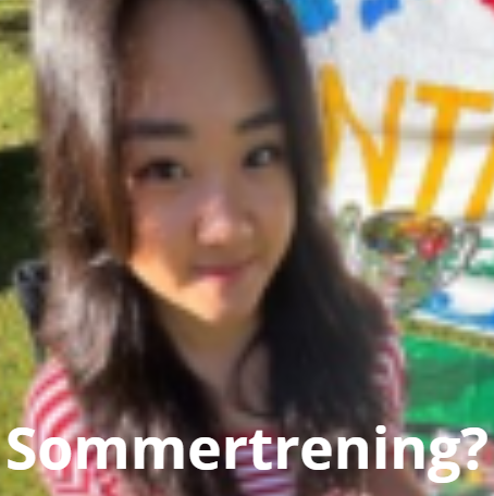 Sommertrening